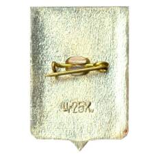 Значок Старая Русса (вид 2)