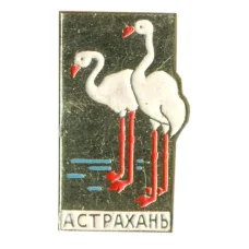 Значок Астрахань