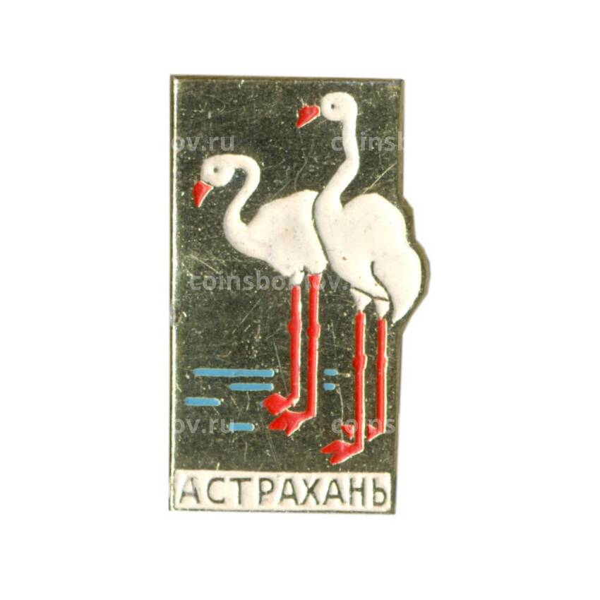 Значок Астрахань