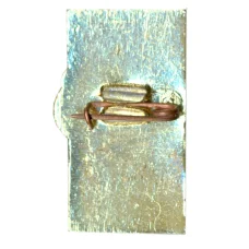 Значок Астрахань (вид 2)