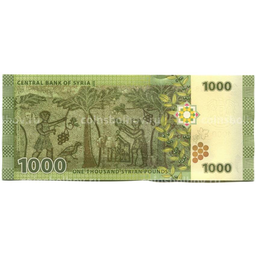 Банкнота 1000 фунтов 2013 года Сирия