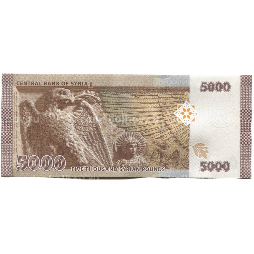 Банкнота 5000 фунтов 2019 года Сирия