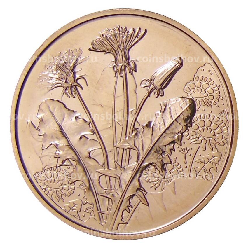 Монета 10 евро 2022 года Австрия — Язык цветов — Одуванчик