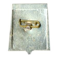 Значок Армавир (вид 2)