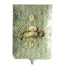 Значок Копейск (вид 2)