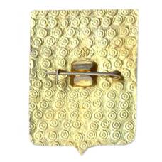 Значок Владимир (вид 2)