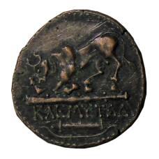 Дихалк Древняя Греция — Херсонес -Копия (вид 2)