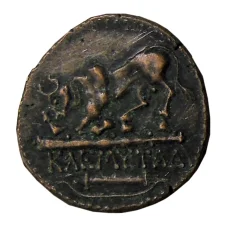 Дихалк Древняя Греция — Херсонес -Копия (вид 2)