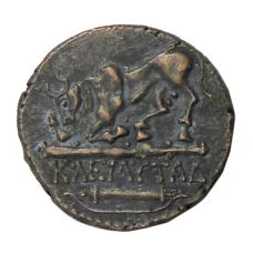 Дихалк Древняя Греция — Херсонес -Копия (вид 2)