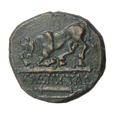 Дихалк Древняя Греция — Херсонес -Копия (вид 2)