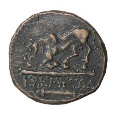 Дихалк Древняя Греция — Херсонес -Копия (вид 2)