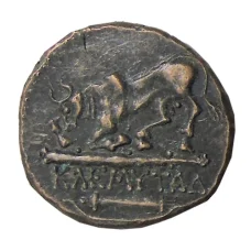 Дихалк Древняя Греция — Херсонес -Копия (вид 2)