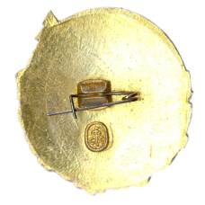 Значок Всероссийское общество охраны памятников (вид 2)