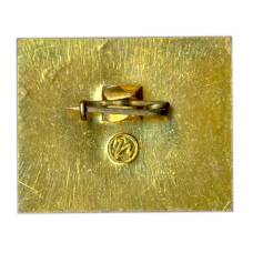 Значок Владимир (вид 2)