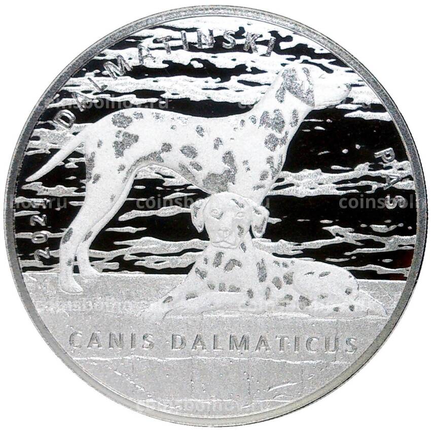 Монета 10 кун 2021 года Хорватия — Далматин