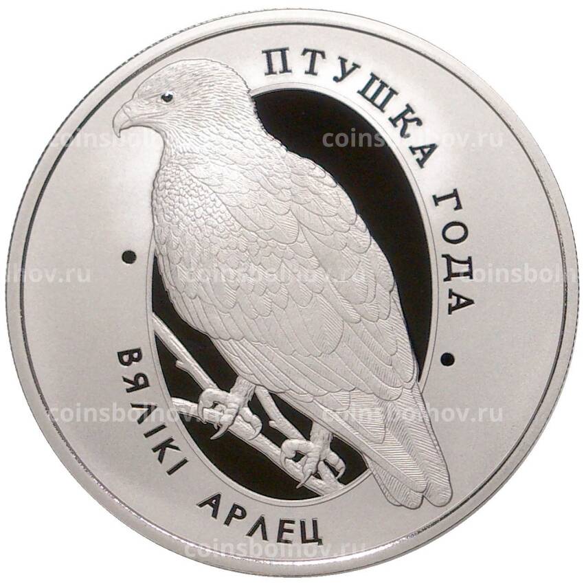 Монета 1 рубль 2019 года Белоруссия —  Птица года — Большой подорлик