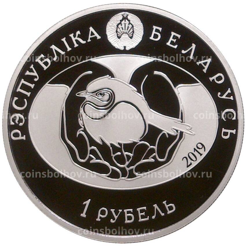 Монета 1 рубль 2019 года Белоруссия —  Птица года — Большой подорлик (вид 2)