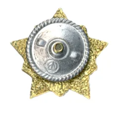 Значок Воин-спортсмен II ступень (вид 2)