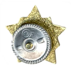 Значок Воин-спортсмен II ступень (вид 2)