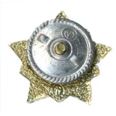 Значок Воин-спортсмен II ступень (вид 2)