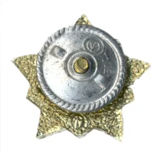 Значок Воин-спортсмен II ступень (вид 2)