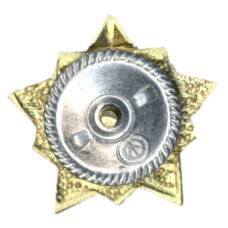 Значок Воин-спортсмен I ступень (вид 2)