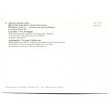 Открытка Московский Кремль.Архангельский собор. Настенная живопись и часть иконостаса (вид 2)