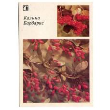 Открытка Калина.Барбарис