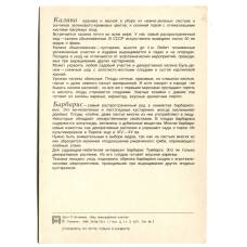 Открытка Калина.Барбарис (вид 2)