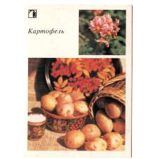 Открытка Картофель