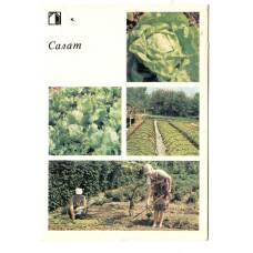 Открытка Салат