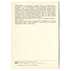 Открытка Черешня (вид 2)