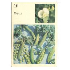 Открытка Горох
