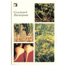 Открытка Сельдерей.Пастернак