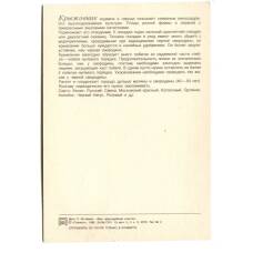 Открытка Крыжовник (вид 2)