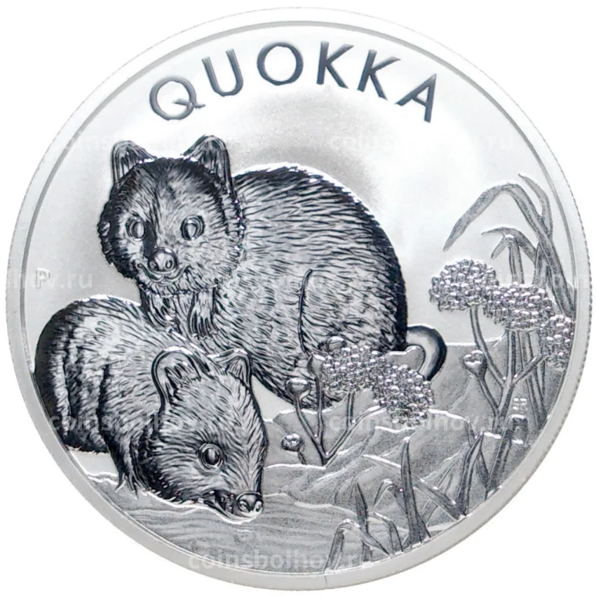 Монета 1 доллар 2022 года Австралия — Квокка (2 малыша)