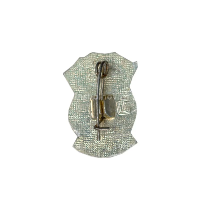 Значок Ветеран Вооруженных сил (вид 2)