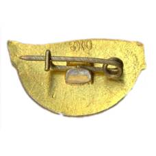 Значок СО Юность — Победитель соревнований (вид 2)