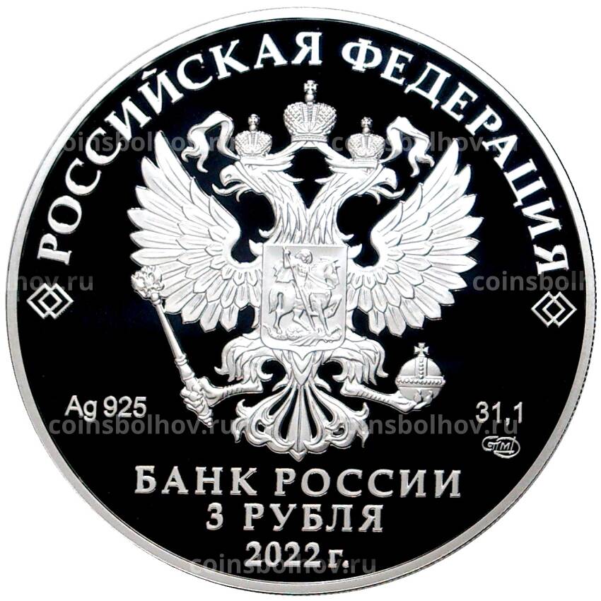 Монета 3 рубля 2022 года СПМД «Российская (Советская) мультипликация — Веселая Карусель (Антошка)» (вид 2)