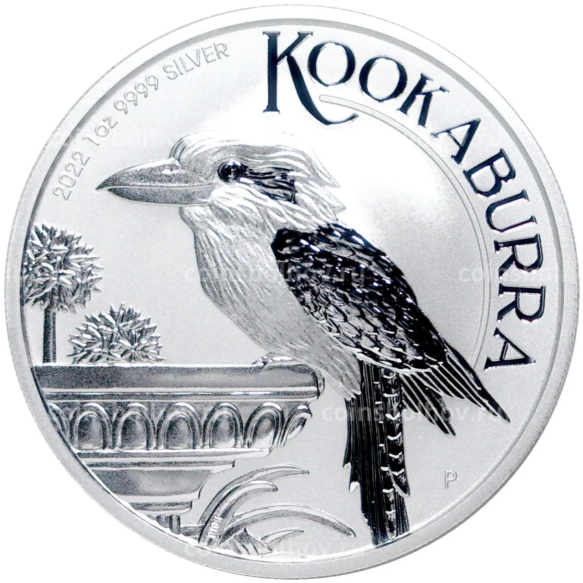 Монета 1 доллар 2022 года Австралия —  Австралийская Кукабара