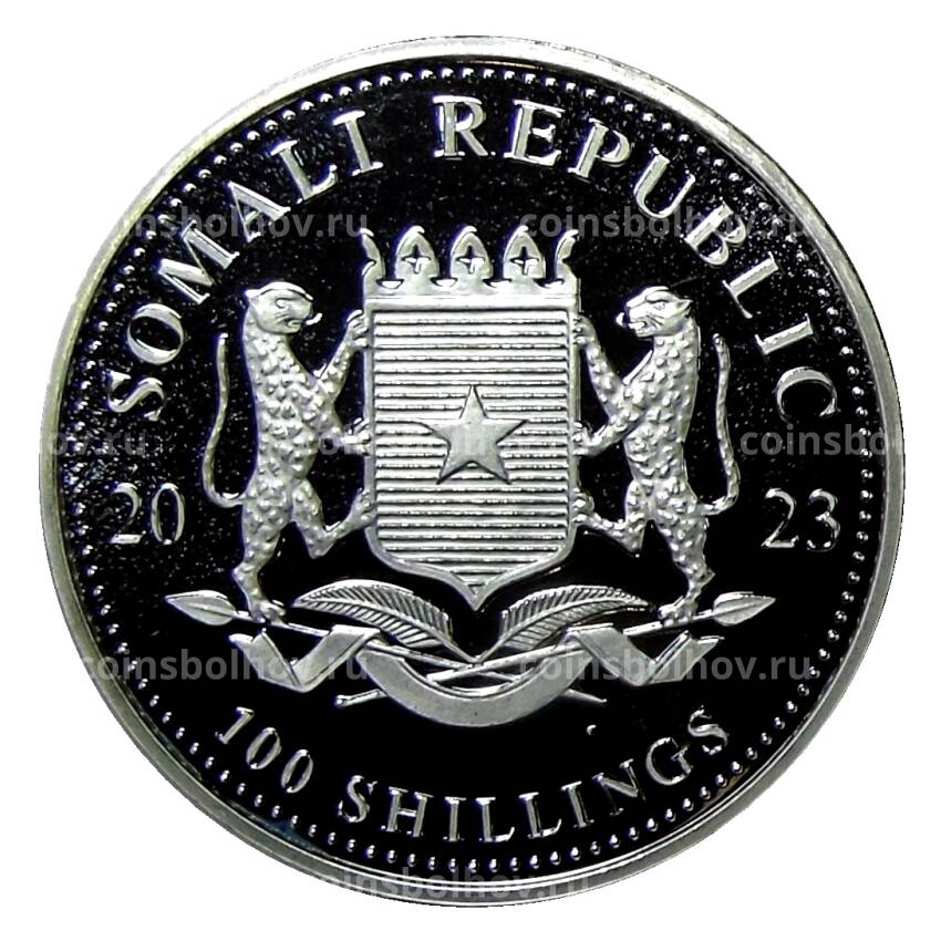 Монета 100 шиллингов 2023 года Сомали —  Африканская дикая природа — Африканский слон (вид 2)