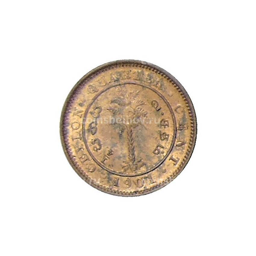 Монета 1/4 цента 1901 года Цейлон (вид 2)