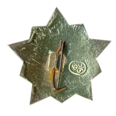 Значок Воин-спортсмен — II ступень (вид 2)