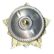 Значок Воин-спортсмен II ступень (вид 2)