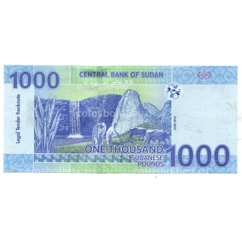 Банкнота 1000 фунтов 2019 года Судан