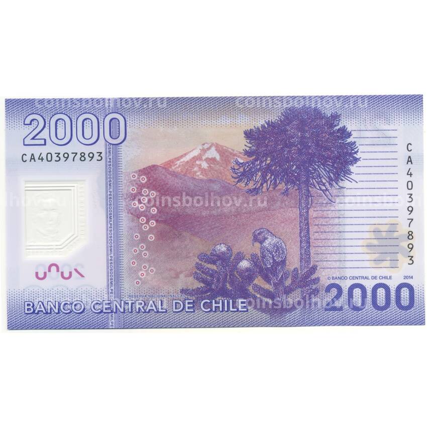 Банкнота 2000 песо 2014 года Чили