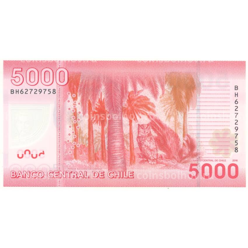 Банкнота 5000 песо 2016 года Чили (вид 2)