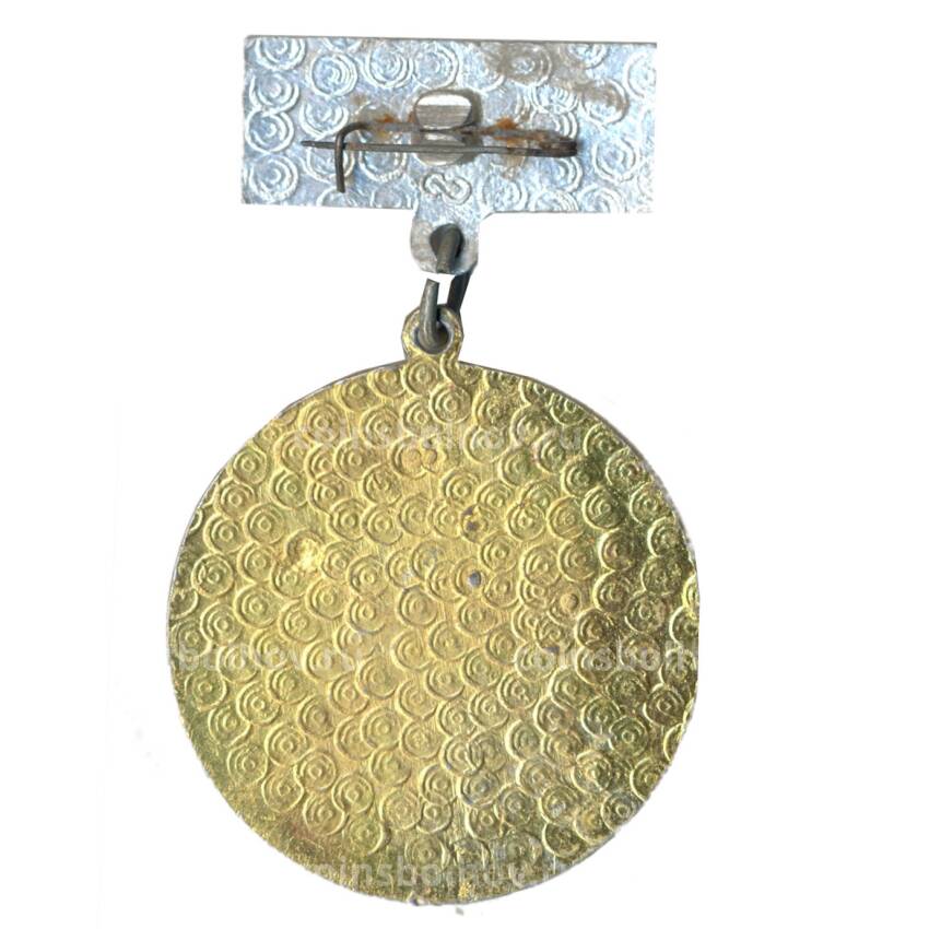 Медаль спортивная за II место (вид 2)