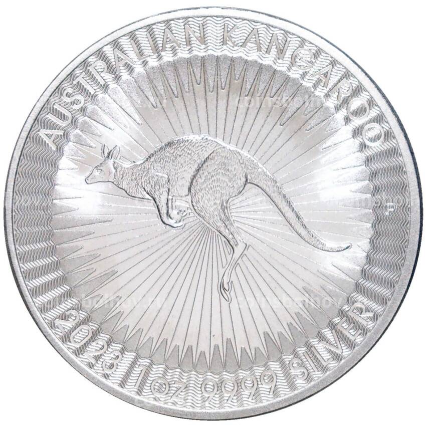 Монета 1 доллар 2023 года Австралия —  Австралийский кенгуру