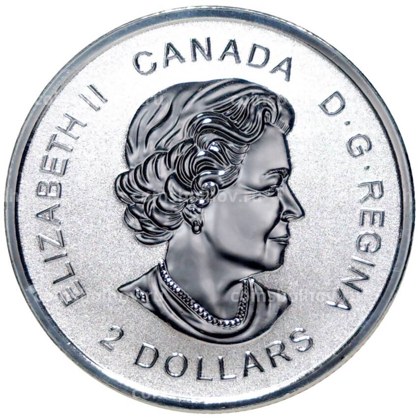 Монета 2 доллара 2017 года Канада —  «Год петуха» (вид 2)